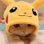 Avatar de Simón Granada